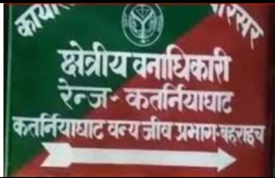 आपसी संघर्ष में नर घड़ियाल की हुई मृत्यु