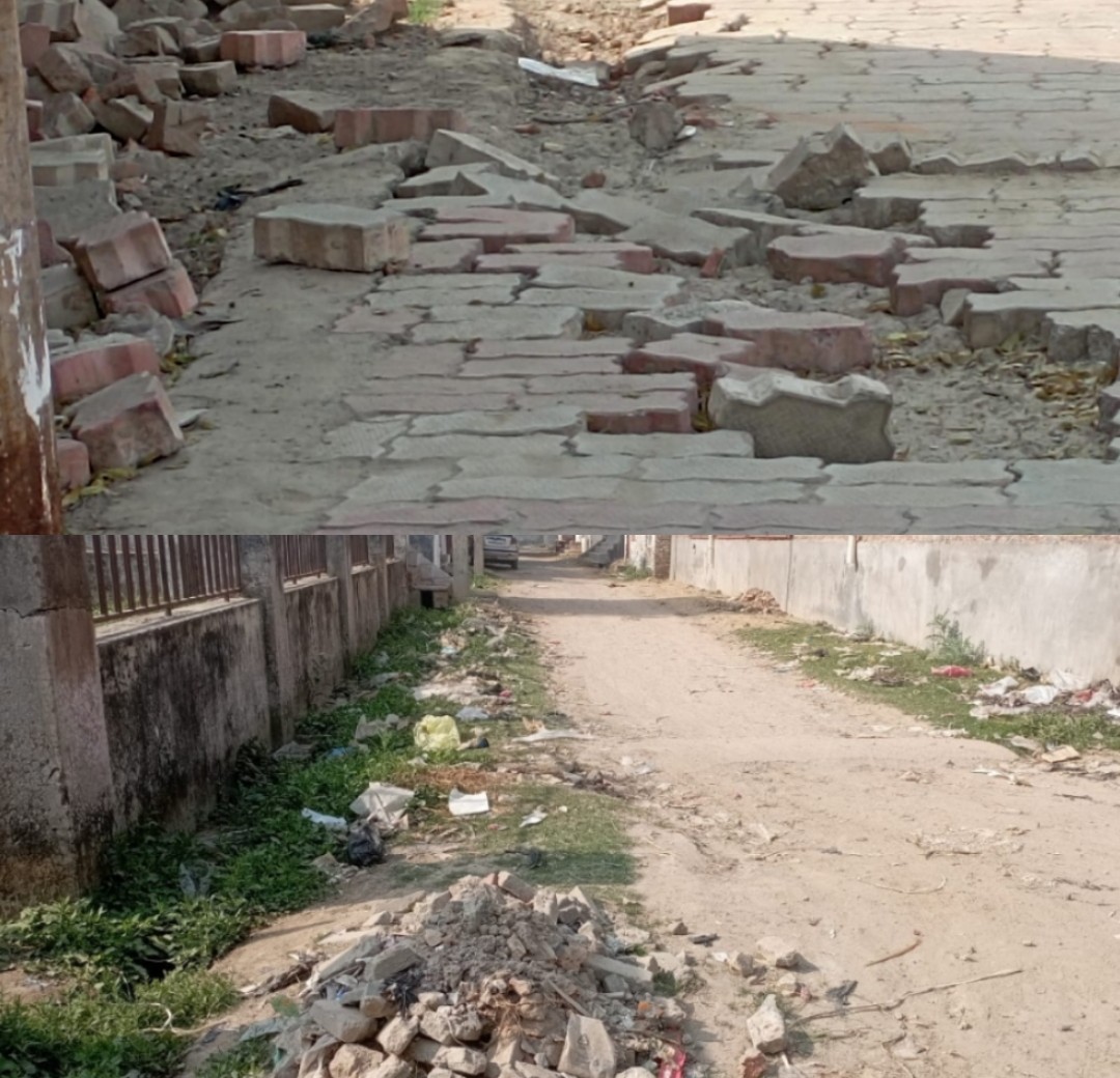 आदर्श नगर की स्वच्छता बदहाल...
