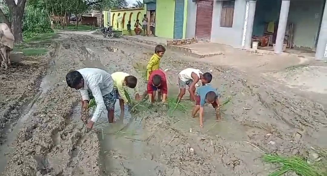 ग्रामीणों ने सड़क पर धान रोपाई कर किया विरोध प्रदर्शन