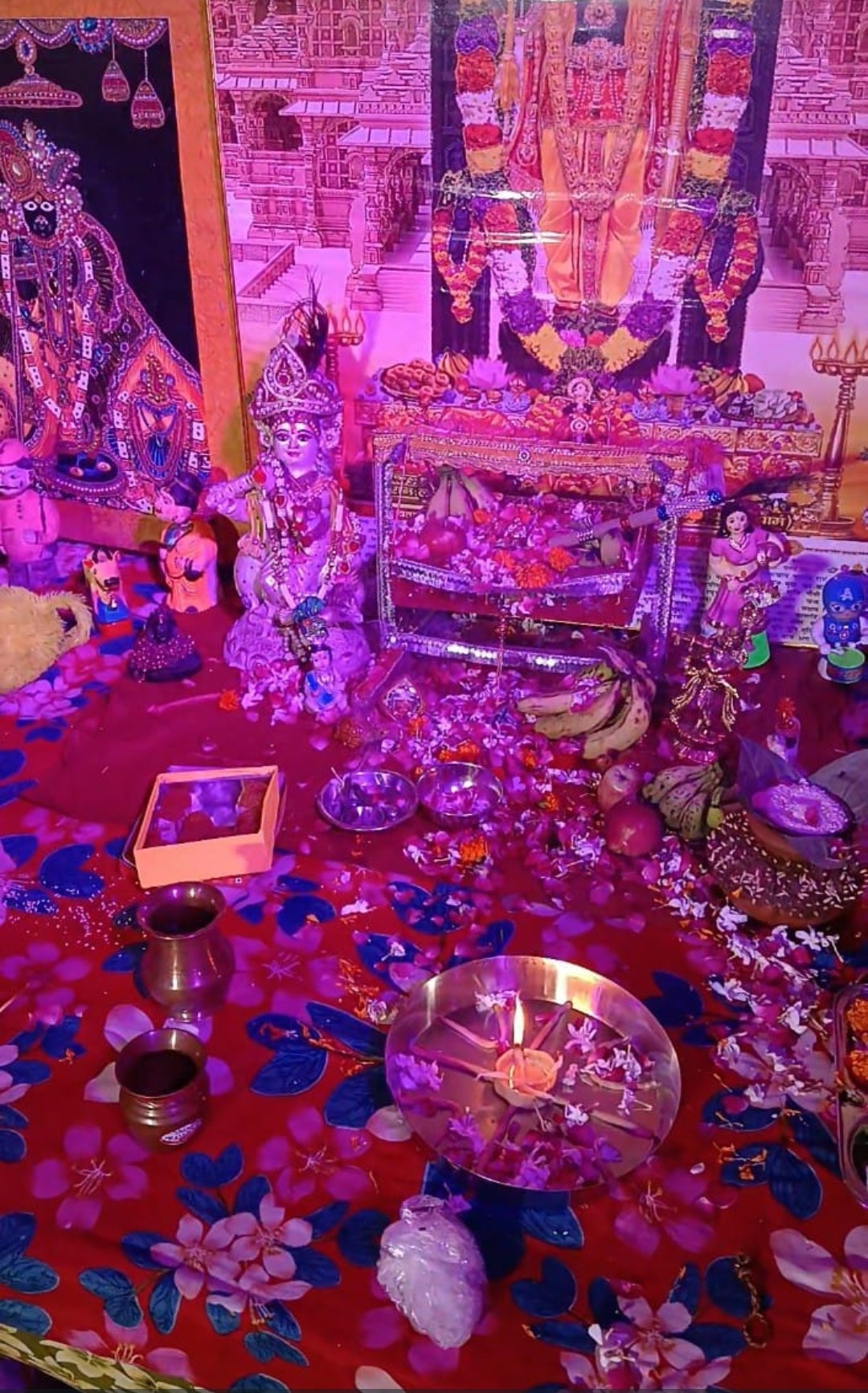 हाथी घोड़ा पालकी जय कन्हैया लाल की
