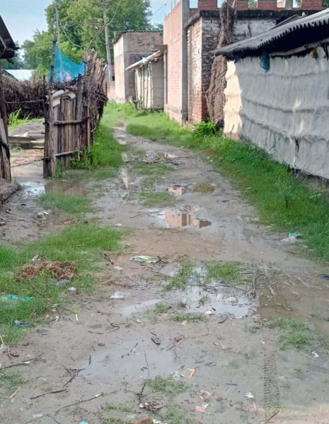 ग्रामीणों ने रोड बनवाने की करी मांग