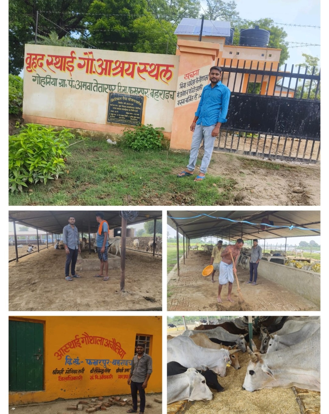 गौ संसद विपिन कुमार मौर्य आकस्मिक पहुंचे गौशाला