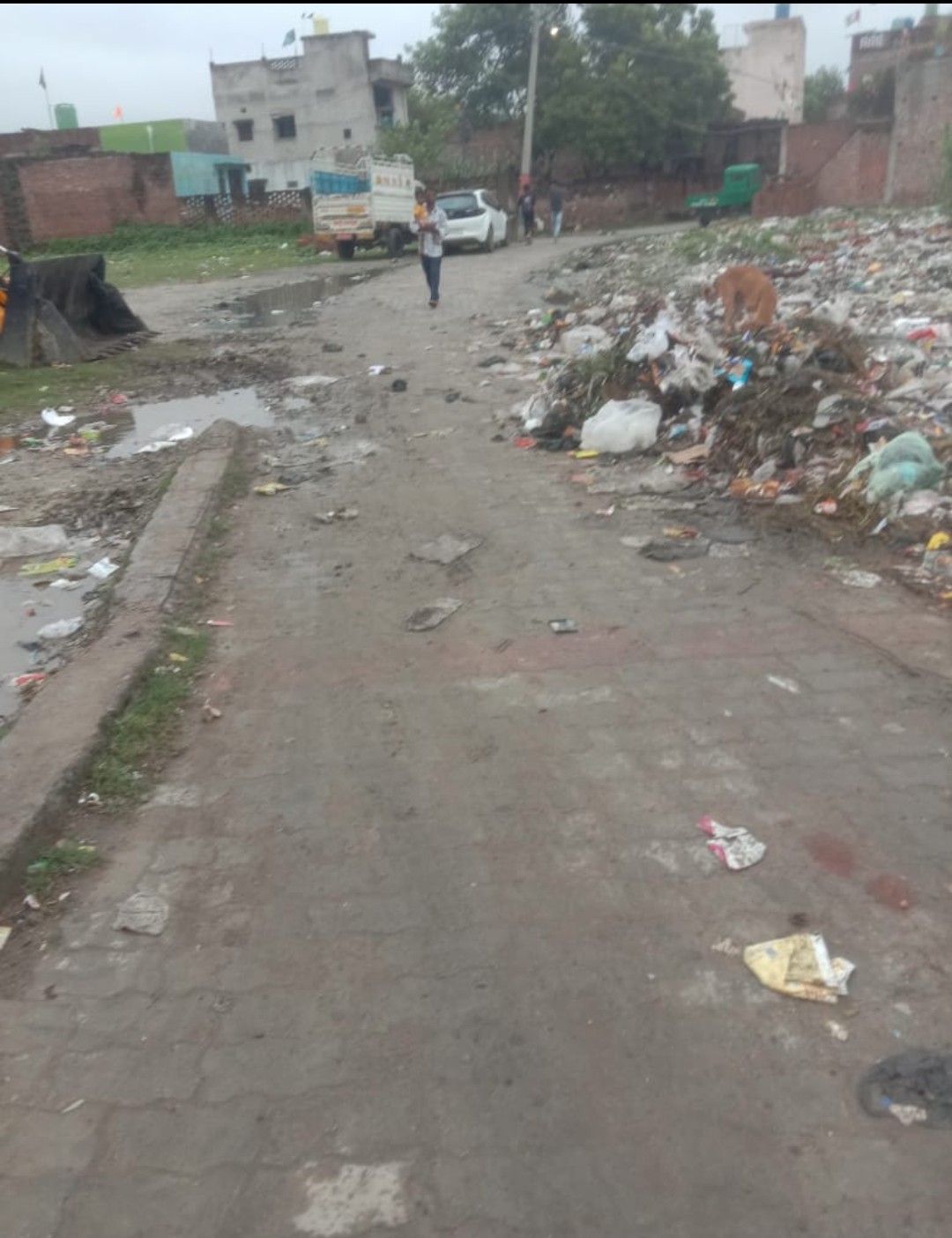 वार्ड मे ही कूड़ा डंप,सभासद ने निकाय प्रशासन पर लगाया आरोप