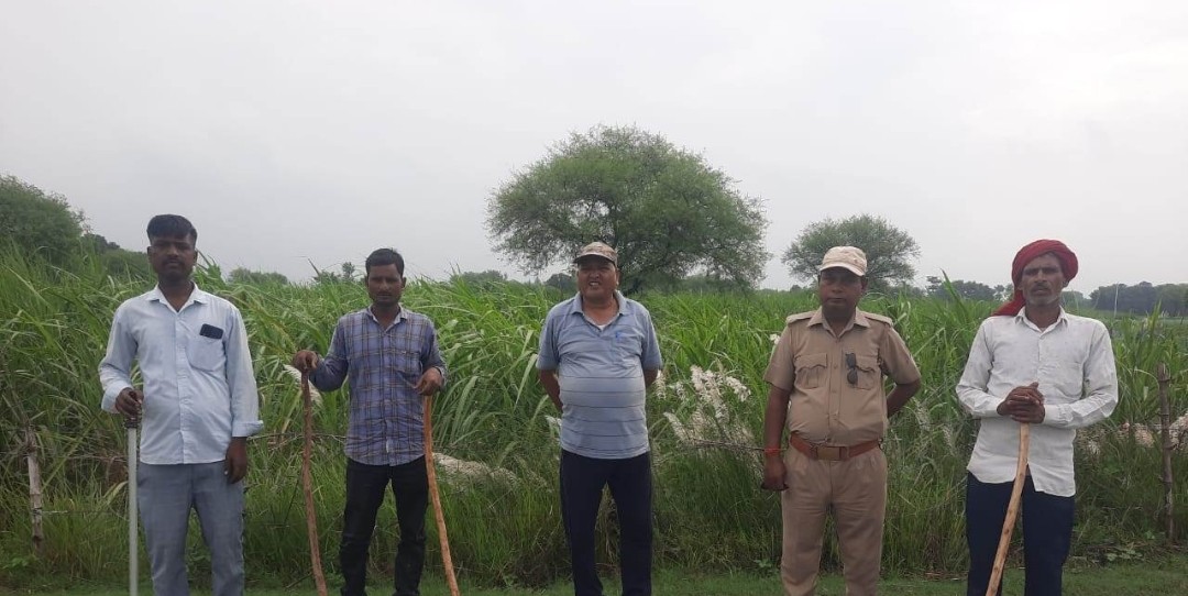 घटना स्थल के निरीक्षण में नहीं मिले भेड़िया के पगचिन्ह: डीएफओ