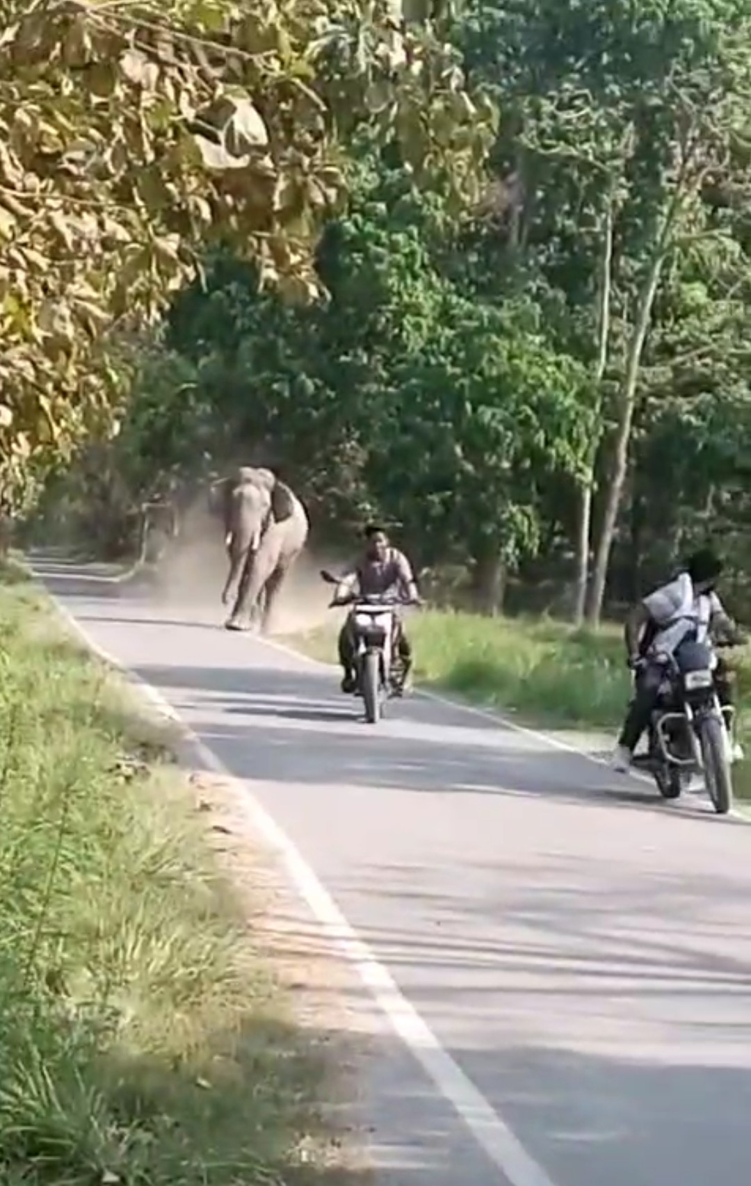 बाल बाल बच गए टस्कर हाथी से पर्यटक एवं पत्रकार