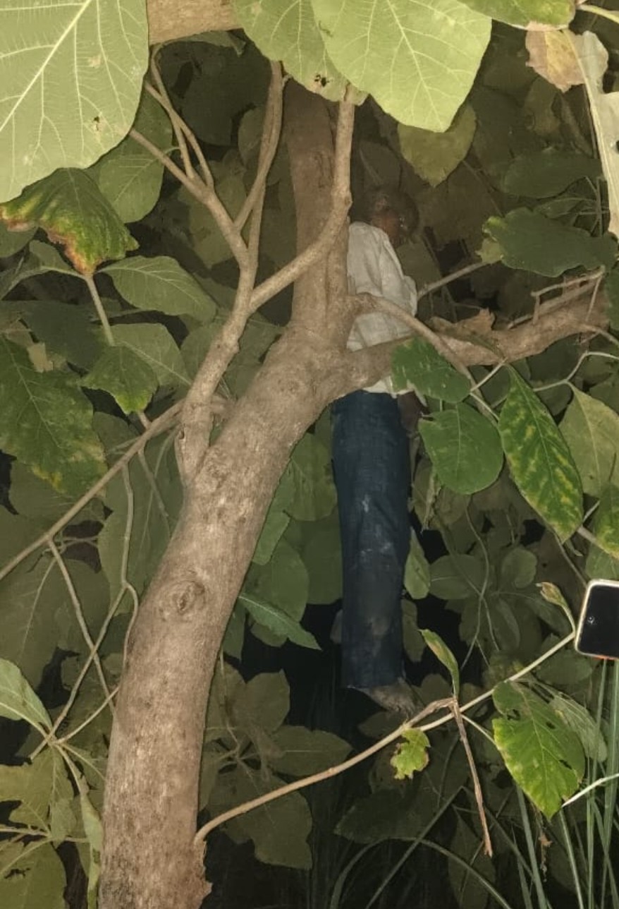 फांसी के फंदे से लटकता मिला लापता युवक का शव